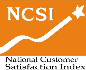 NCSI